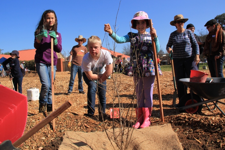 Students from Brindabella Christian College planting a pomegranate.